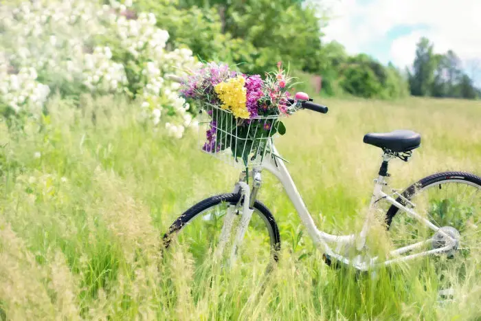 Villa Juno - Location de vélo